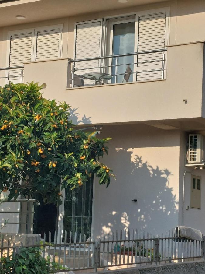 Apartment Dario Grebaštica Exteriér fotografie